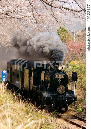 Sakura Fubuki舞蹈春天Hidai Road和SL人吉 Sakura Fubuki舞蹈春天Hidai Road和SL人吉 49122177