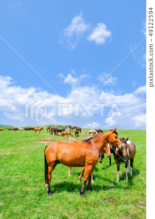 牧場（馬） 49122594