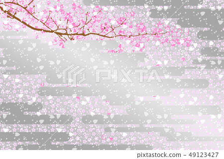 20190324銀箔櫻花 20190324銀箔櫻花 49123427