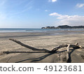 藍色的大海和浮木 49123681