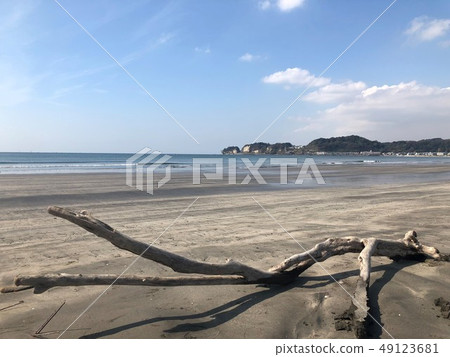 藍色的大海和浮木 藍色的大海和浮木 49123681