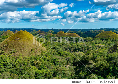 [Philippines] Bohol Island/Chocolate Hills 49123991