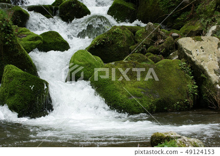 Tottori Four seasons walk Spring Rain waterfall Tottori Four seasons walk Spring Rain waterfall 49124153