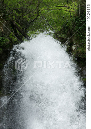 Tottori Four seasons walk Spring Rain waterfall 49124156
