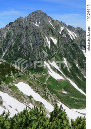 Wild mountain of early summer Wild mountain of early summer 49124643