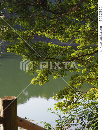 Natural material (fresh green image) 49125904