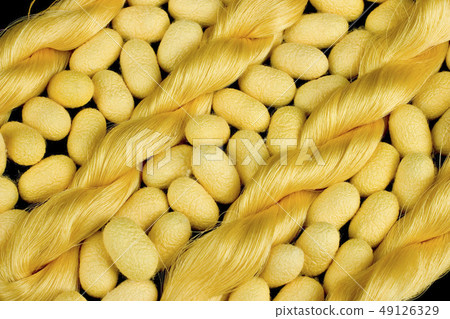 Thai Silk and Cocoon Thai Silk and Cocoon 49126329