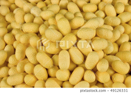 Thai Silk and Cocoon Thai Silk and Cocoon 49126331