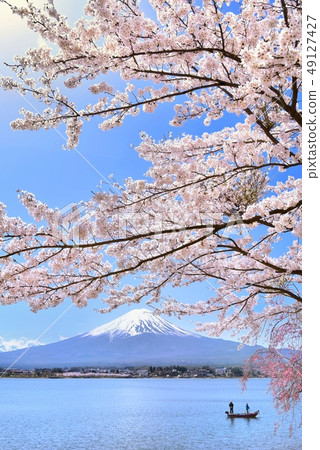 Cherry blossoms at Mt. Fuji and Kawaguchi lake Cherry blossoms at Mt. Fuji and Kawaguchi lake 49127427