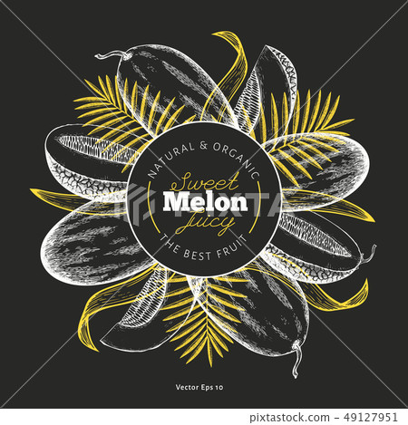 Whole melon and a pieces of melon design template. Whole melon and a pieces of melon design template. 49127951
