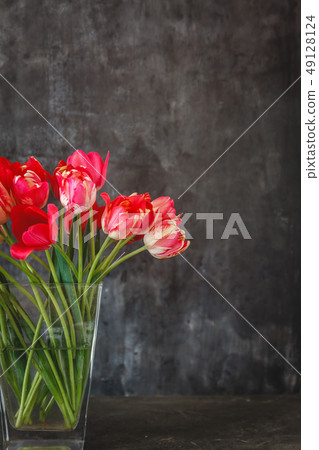 bouquet of red tulips in a transparent vase on a bouquet of red tulips in a transparent vase on a 49128124