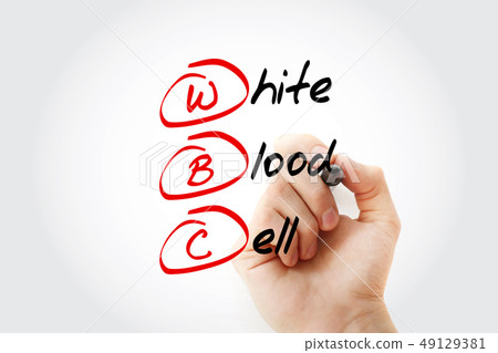 WBC - White Blood Cell acronym WBC - White Blood Cell acronym 49129381