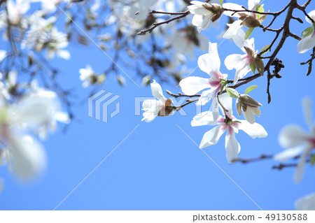 天空和天空 49130588