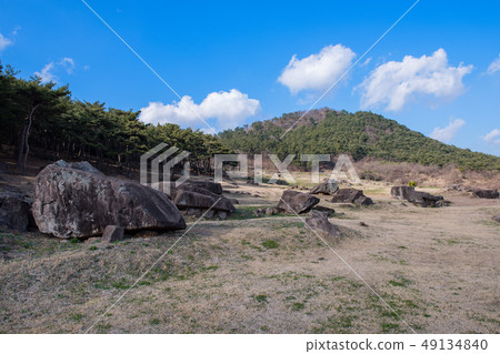 多爾門網站 49134840