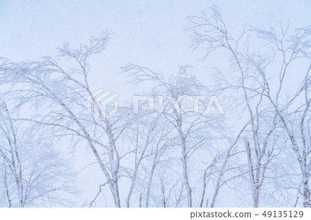 “北海道”有霧的冰，北海道在嚴冬 49135129