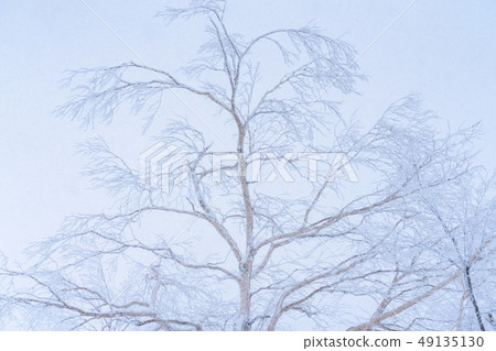 “北海道”有霧的冰，北海道在嚴冬 49135130