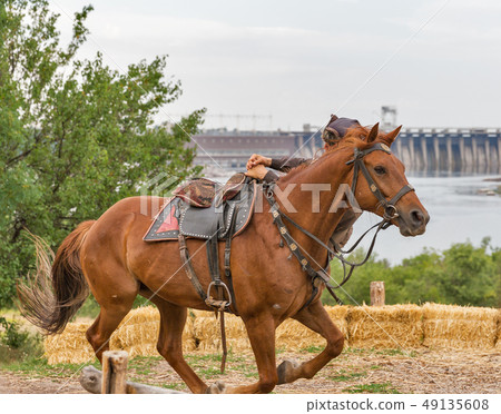 Ukrainian Cossack doing tricks on a horse. Ukrainian Cossack doing tricks on a horse. 49135608