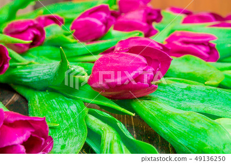 Floral pattern made of pink tulip, green leaves, branches on black background. 49136250