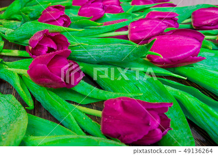 Floral pattern made of pink tulip, green leaves, branches on black background. 49136264