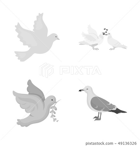 Isolated object of flying and dove icon. Collection of flying and carrier stock symbol for web. 49136326