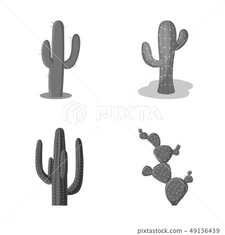 Vector illustration of flower and summer sign. Collection of flower and garden stock vector 49136439