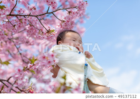櫻花和家庭照片 櫻花和家庭照片 49137112
