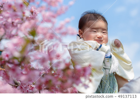 櫻花和家庭照片 櫻花和家庭照片 49137113