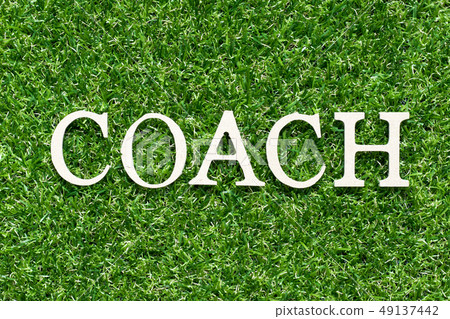 Wood alphabet letter in word coach Wood alphabet letter in word coach 49137442