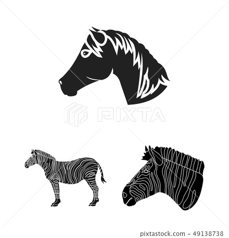 Vector design of trot and running symbol. Collection of trot and clipart vector icon for stock. 49138738