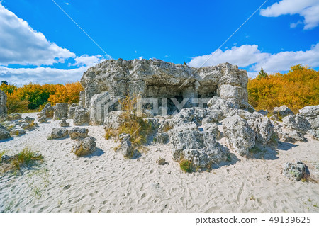 The Stone Desert The Stone Desert 49139625