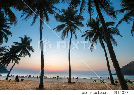 Palms in sunset . Beach and sea. South India. Palms in sunset . Beach and sea. South India. 49140771