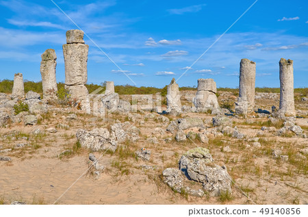 The Stone Desert 49140856