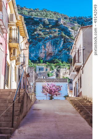 Cherry tree flourishing in the village. Hills 49142049