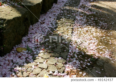 Cobble Cobble 49142437
