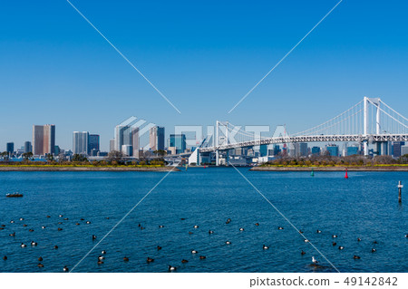 Rainbow Bridge from Odaiba Rainbow Bridge from Odaiba 49142842
