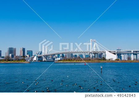 Rainbow Bridge from Odaiba Rainbow Bridge from Odaiba 49142843