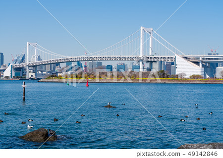 Rainbow Bridge from Odaiba Rainbow Bridge from Odaiba 49142846