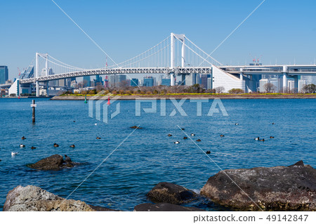 Rainbow Bridge from Odaiba Rainbow Bridge from Odaiba 49142847