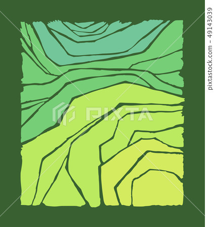 Vector rice or tea plantation on cascades field 49143039