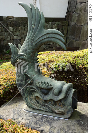 Killer whales and sea bream 49143170