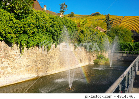 French Riquewihr vineyards 49143463