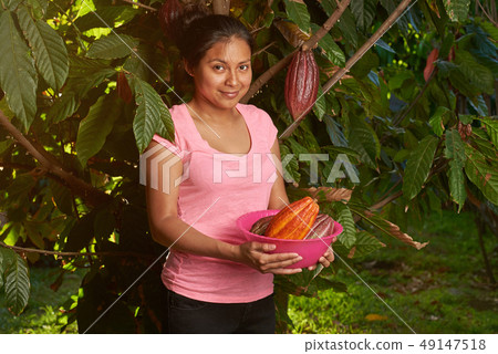 Young girl with pile of cacao pods Young girl with pile of cacao pods 49147518