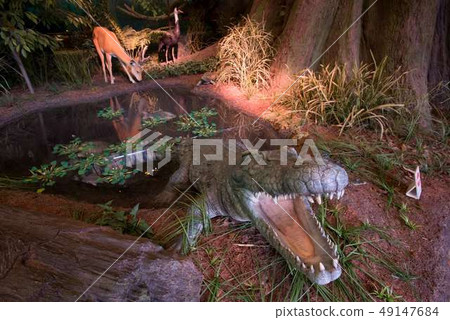 Museum image Museum image 49147684