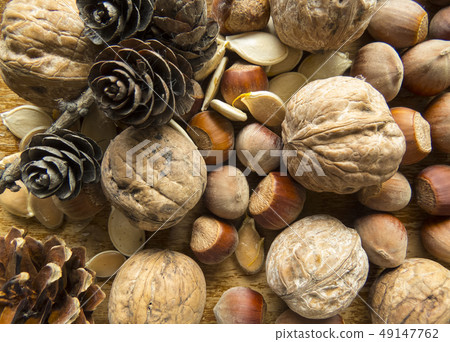 Beautiful photo with seeds  and  nutson 49147762