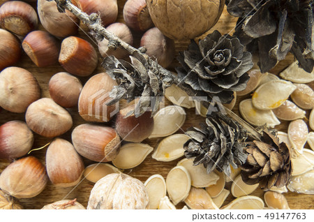 Beautiful photo with seeds and nutson Beautiful photo with seeds and nutson 49147763