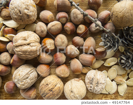 Beautiful photo with seeds and nutson Beautiful photo with seeds and nutson 49147764