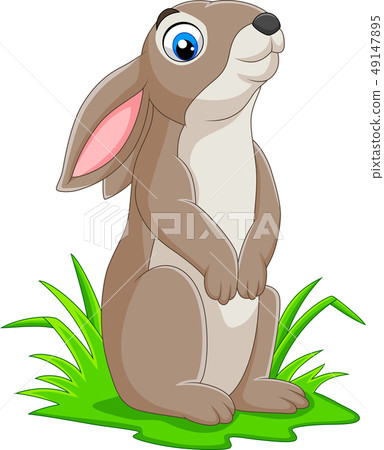 Cartoon funny rabbit on the grass Cartoon funny rabbit on the grass 49147895