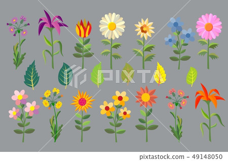 Multicolored spring flowers. Multicolored spring flowers. 49148050
