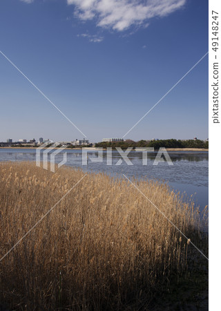 Yatsu tidal flat Yatsu tidal flat 49148247