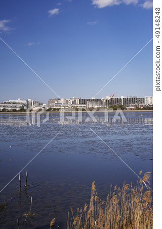 Yatsu tidal flat Yatsu tidal flat 49148248
